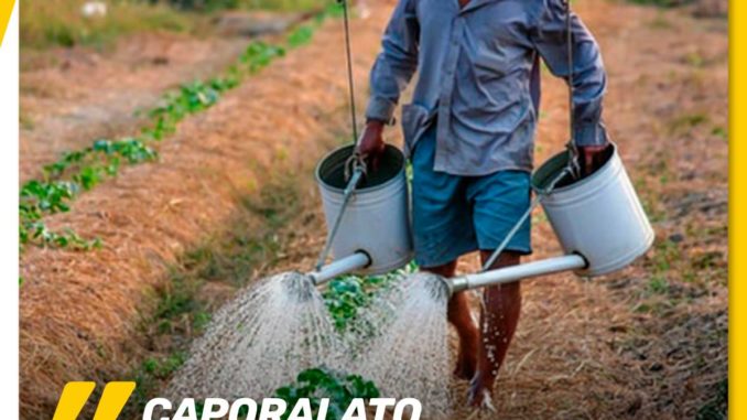 Caporalato. Un sistema di sfruttamento senza fine. E' ora di invertire la rotta